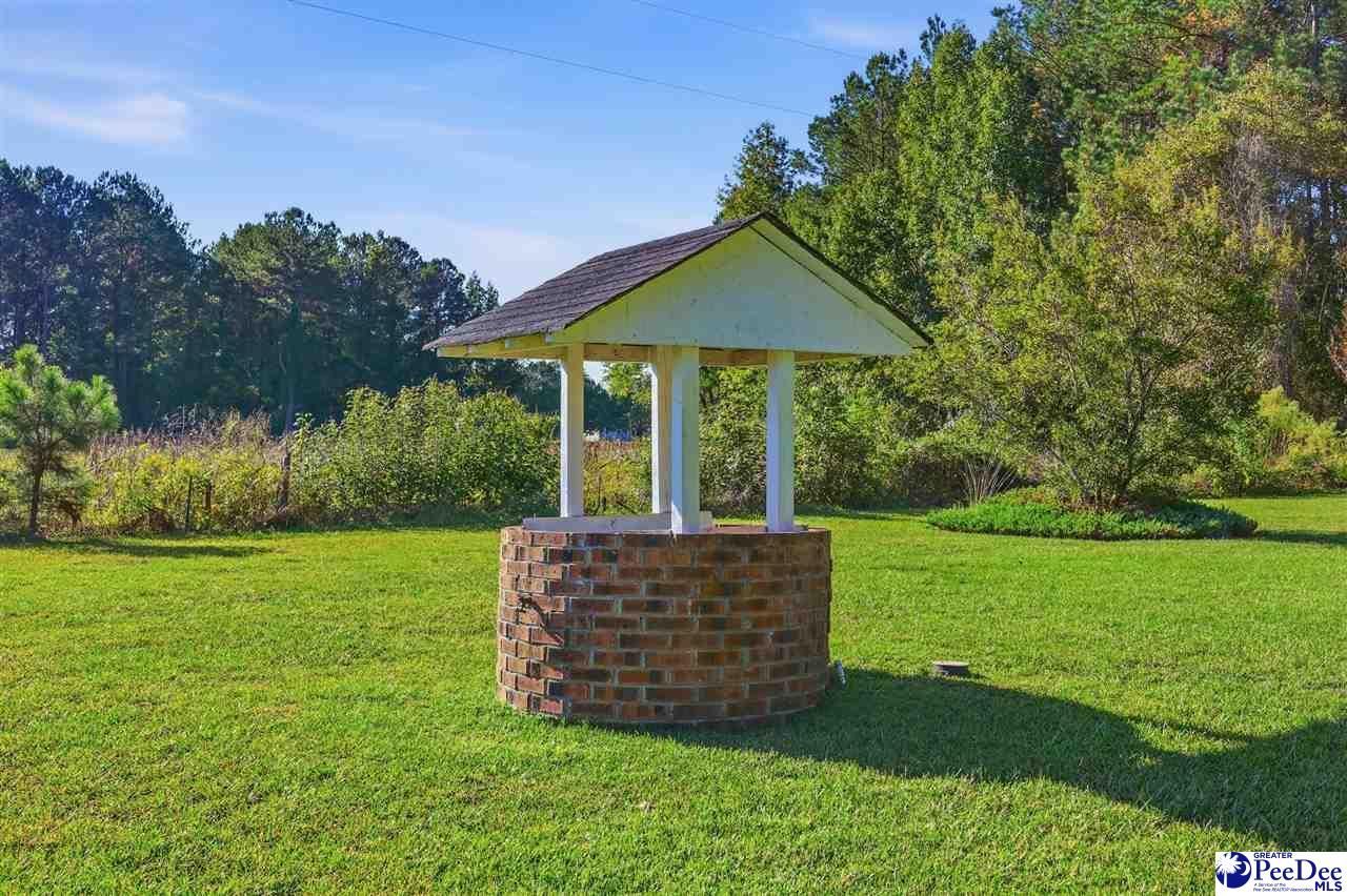 117 Clifton Rd Photo 39
