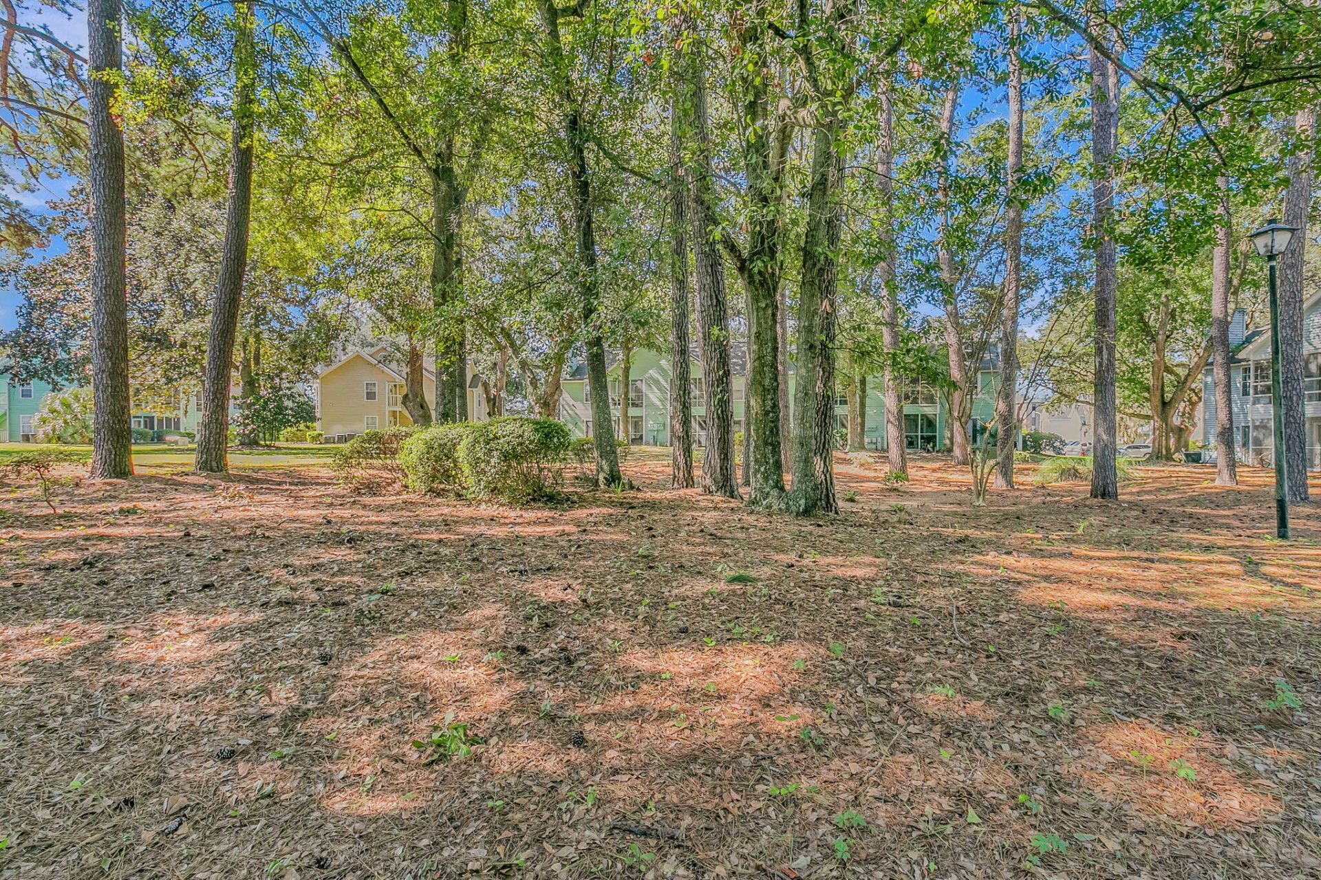 6241 Rolling Fork Road Photo 13