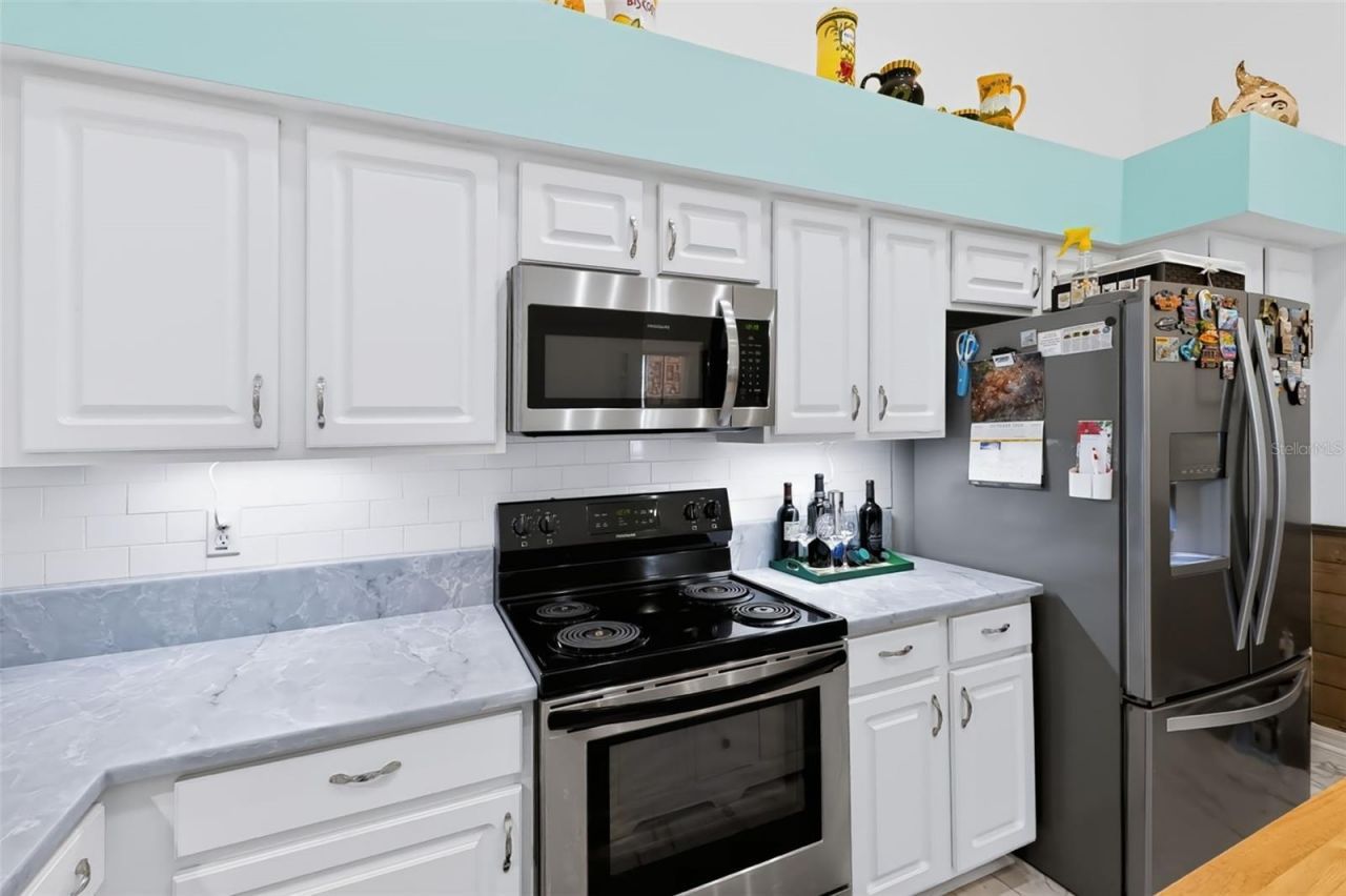 666 Spring Lake Circle, Tarpon Springs, FL 34688 Photo