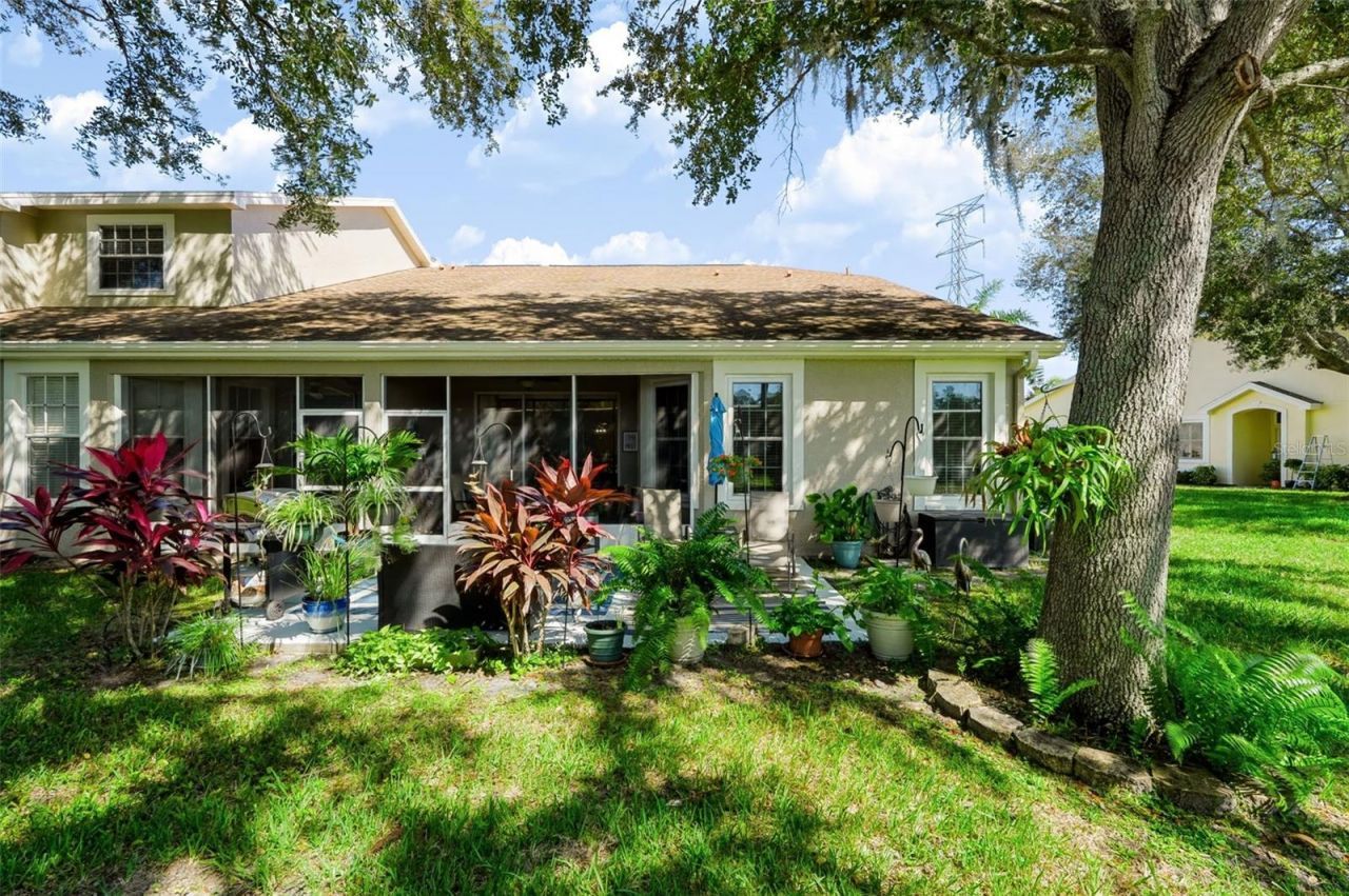 666 Spring Lake Circle, Tarpon Springs, FL 34688 Photo