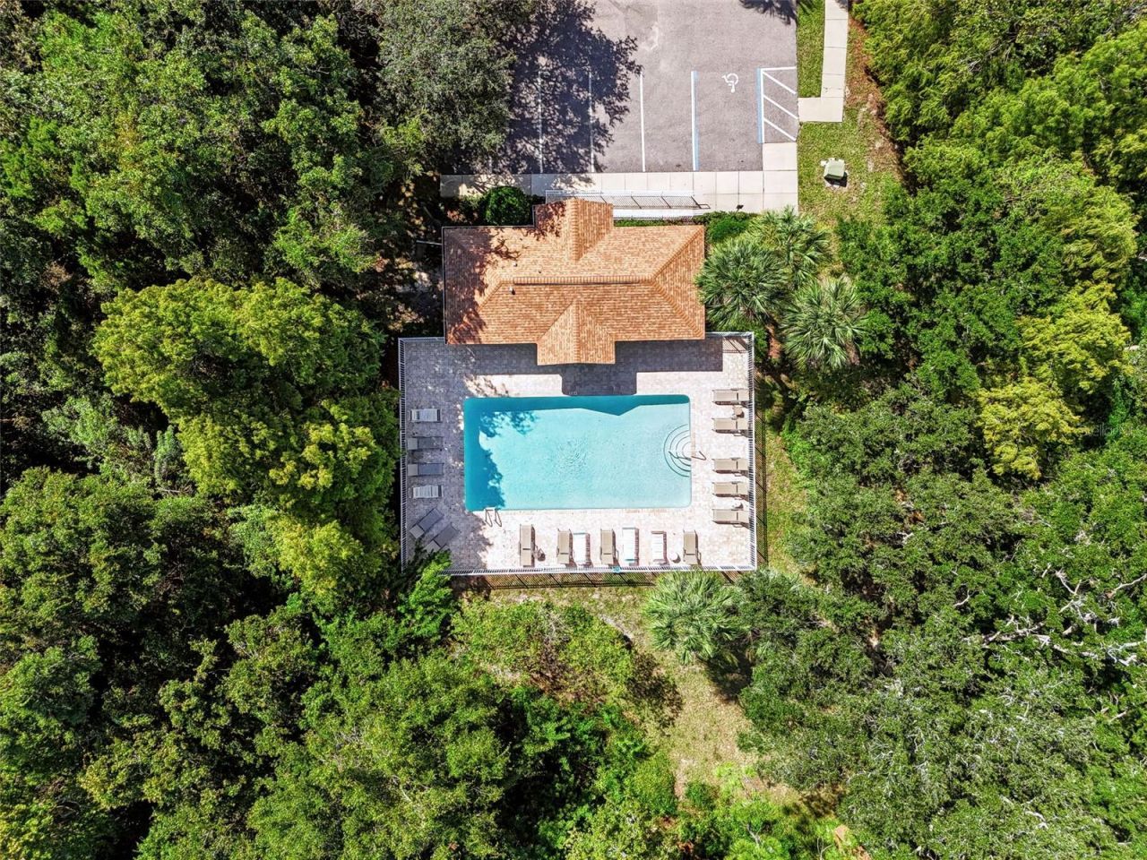 666 Spring Lake Circle, Tarpon Springs, FL 34688 Photo