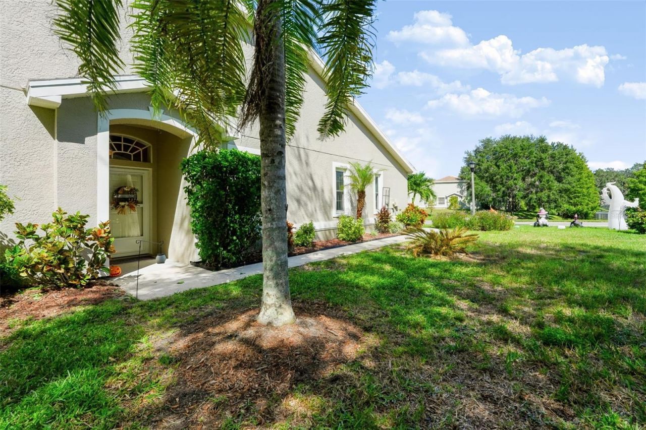 666 Spring Lake Circle, Tarpon Springs, FL 34688 Photo