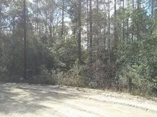 TBD SE 213TH TERRACE , UMATILLA, FL 32784