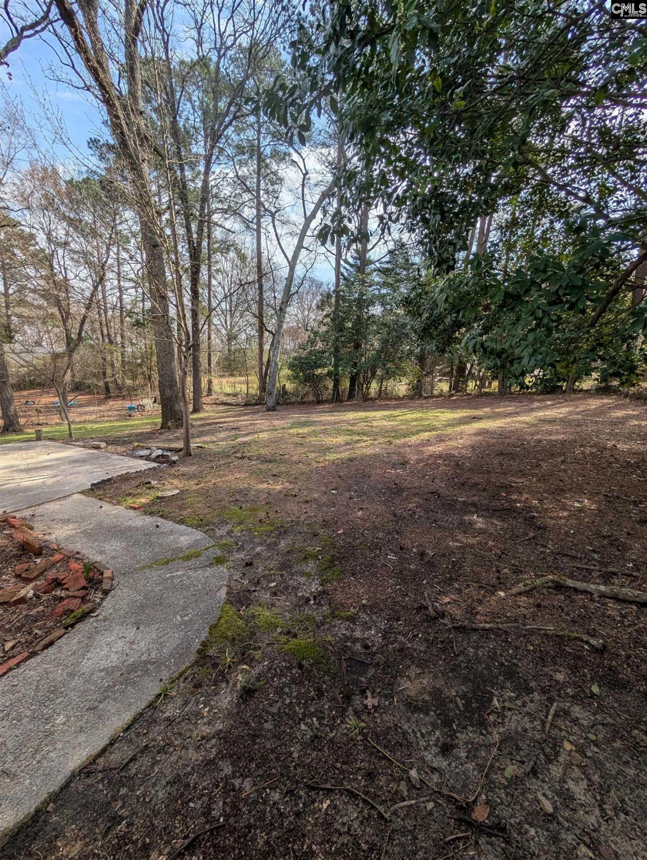 113 Rushing Wind Drive  Photo 16