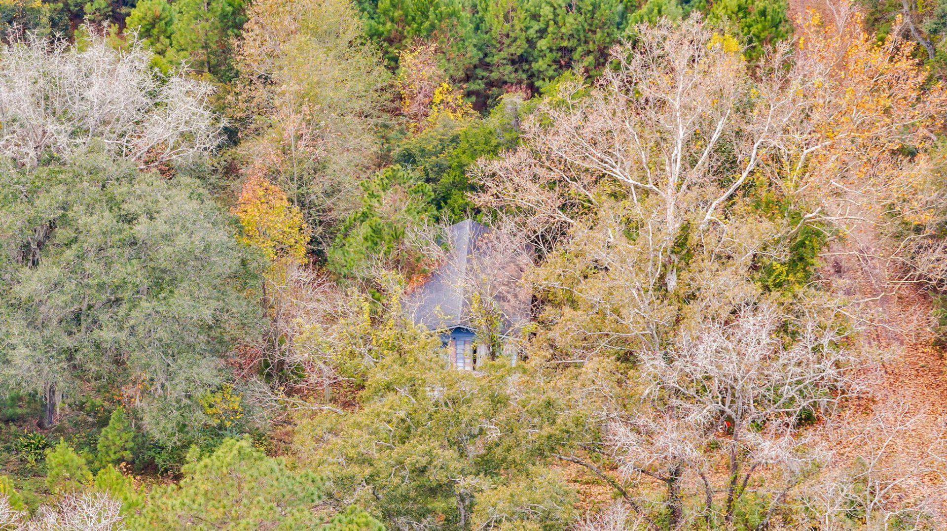 672 Main Road Photo 18