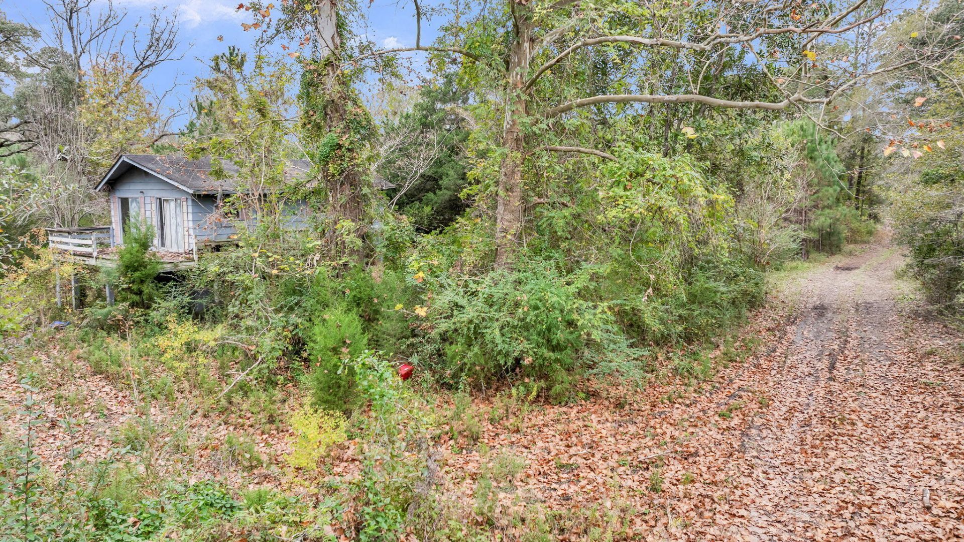 672 Main Road Photo 29