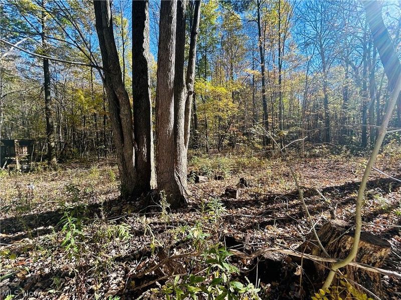 12307 Honeylocust Lane, Garrettsville, OH 44231 Photo 23