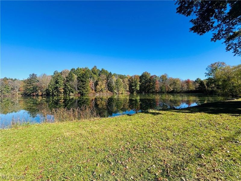 12307 Honeylocust Lane, Garrettsville, OH 44231 Photo 27