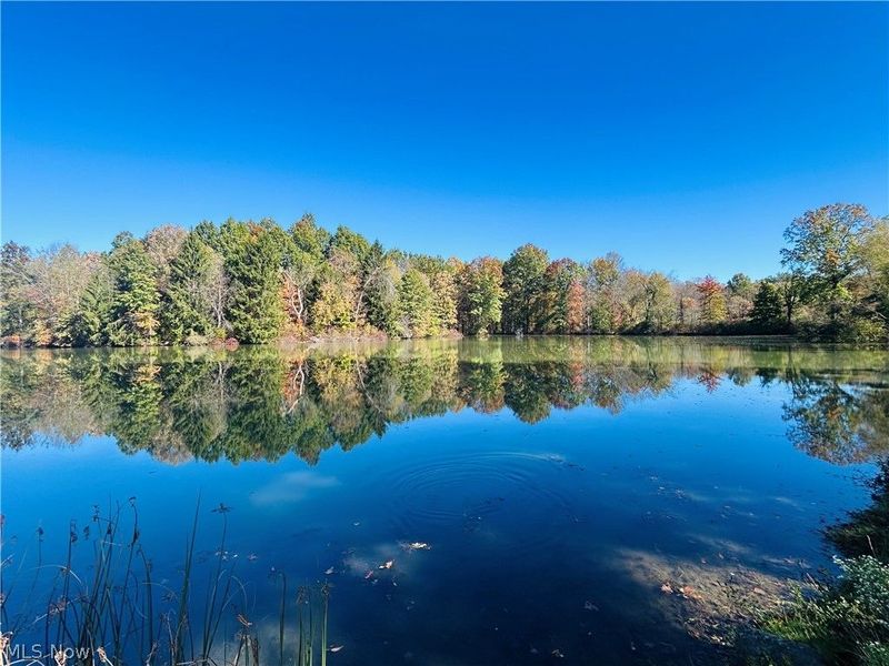 12307 Honeylocust Lane, Garrettsville, OH 44231 Photo 28