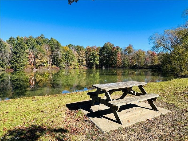 12307 Honeylocust Lane, Garrettsville, OH 44231 Photo 30