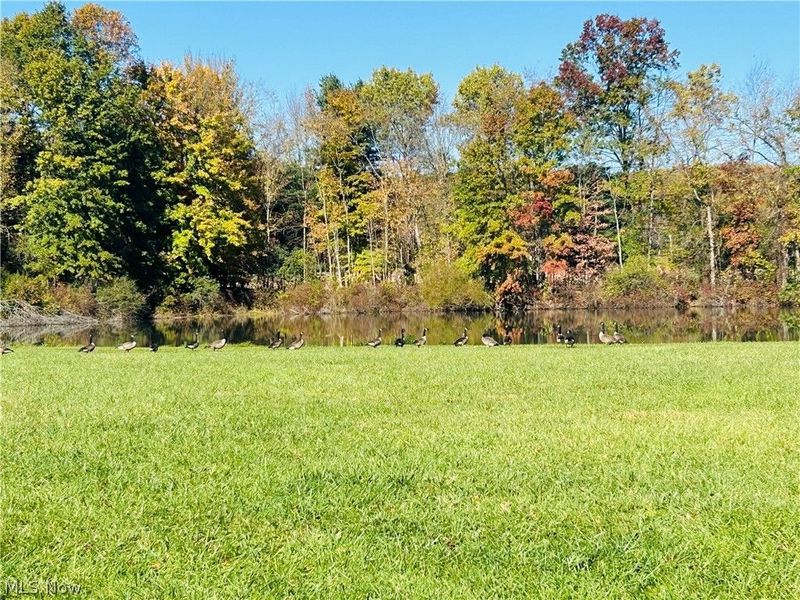 12307 Honeylocust Lane, Garrettsville, OH 44231 Photo 33