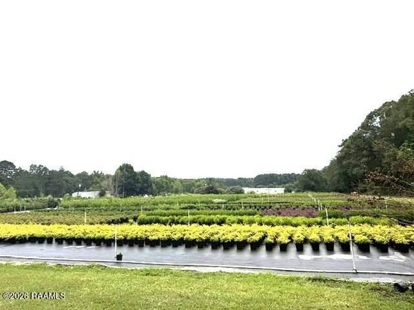 170 Oil Field Road , Glenmora, LA 71433