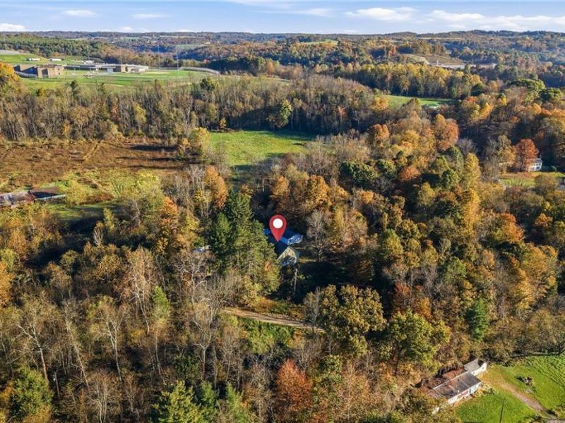 42216 State Route 154, Lisbon, OH 44432 Photo 36