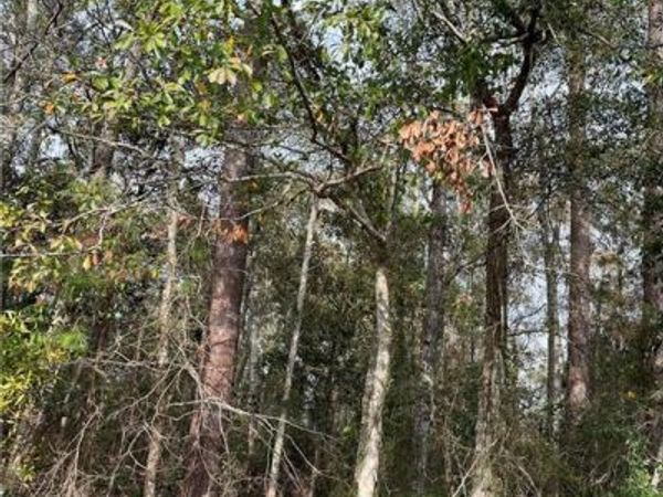 0 GENERAL PERSHING Street , Mandeville, LA 70448
