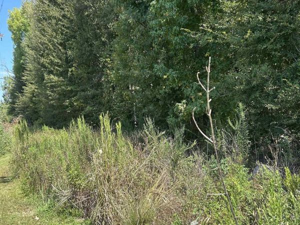 38375 LA HWY 979 , Prairieville, LA 70769