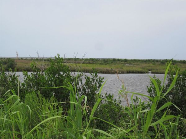 TBD HIGHWAY 1 , Leeville, LA 70357