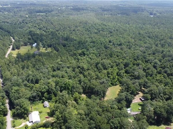 115 Acres WATTS THOMAS Road, Bush, LA 70431