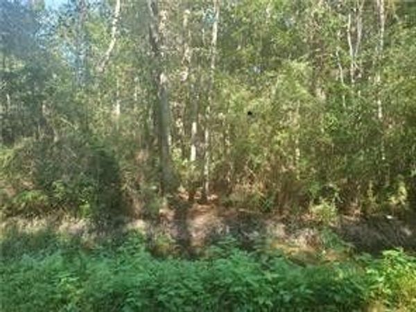 Slidell, LA 70461