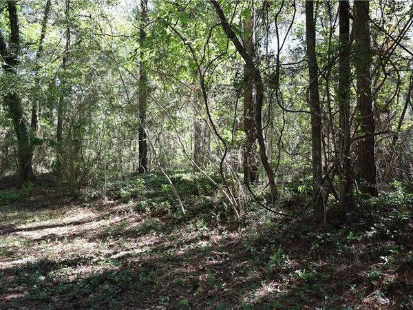 POPLAR Street , Covington, LA 70433