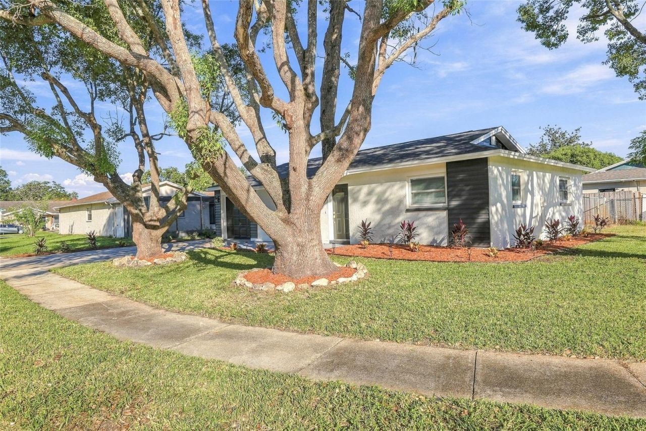 4147 Raccoon Loop , New Port Richey, FL 34653 Photo