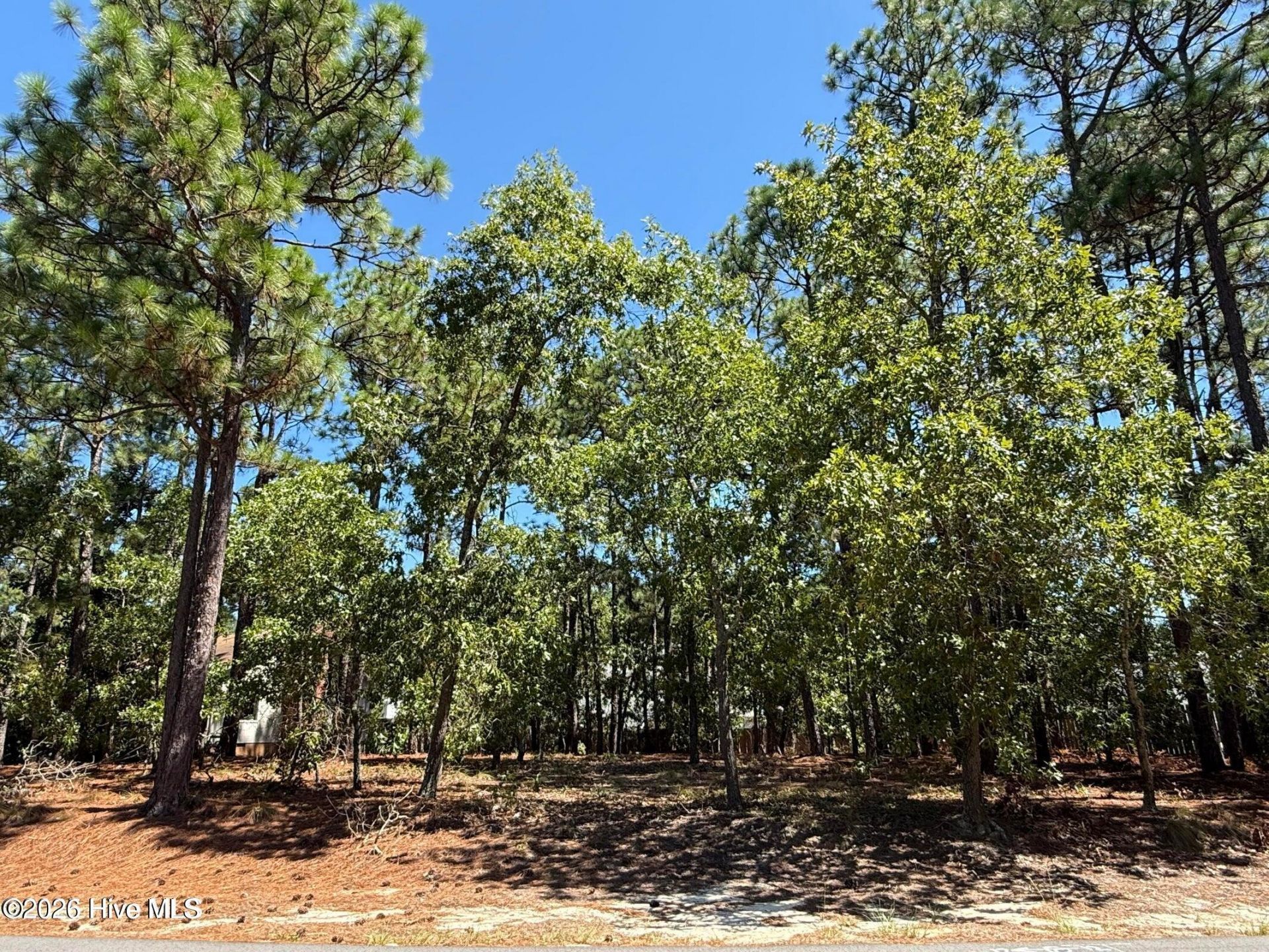 5 Fur Court W, Pinehurst, NC 28374 Main Photo