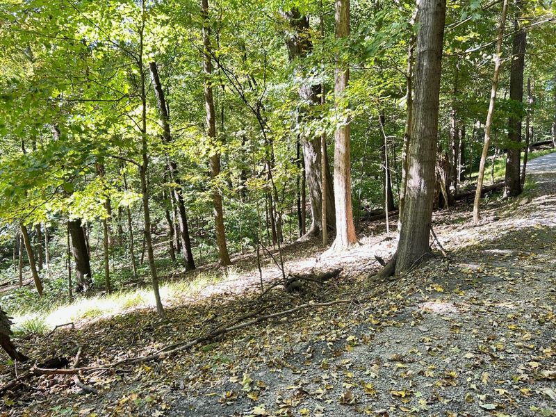 701 Country Club Drive , Newark, OH 43055 Photo 7