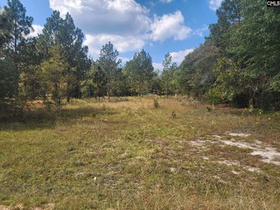 TBD Elijah Lane , Pelion, SC 29123