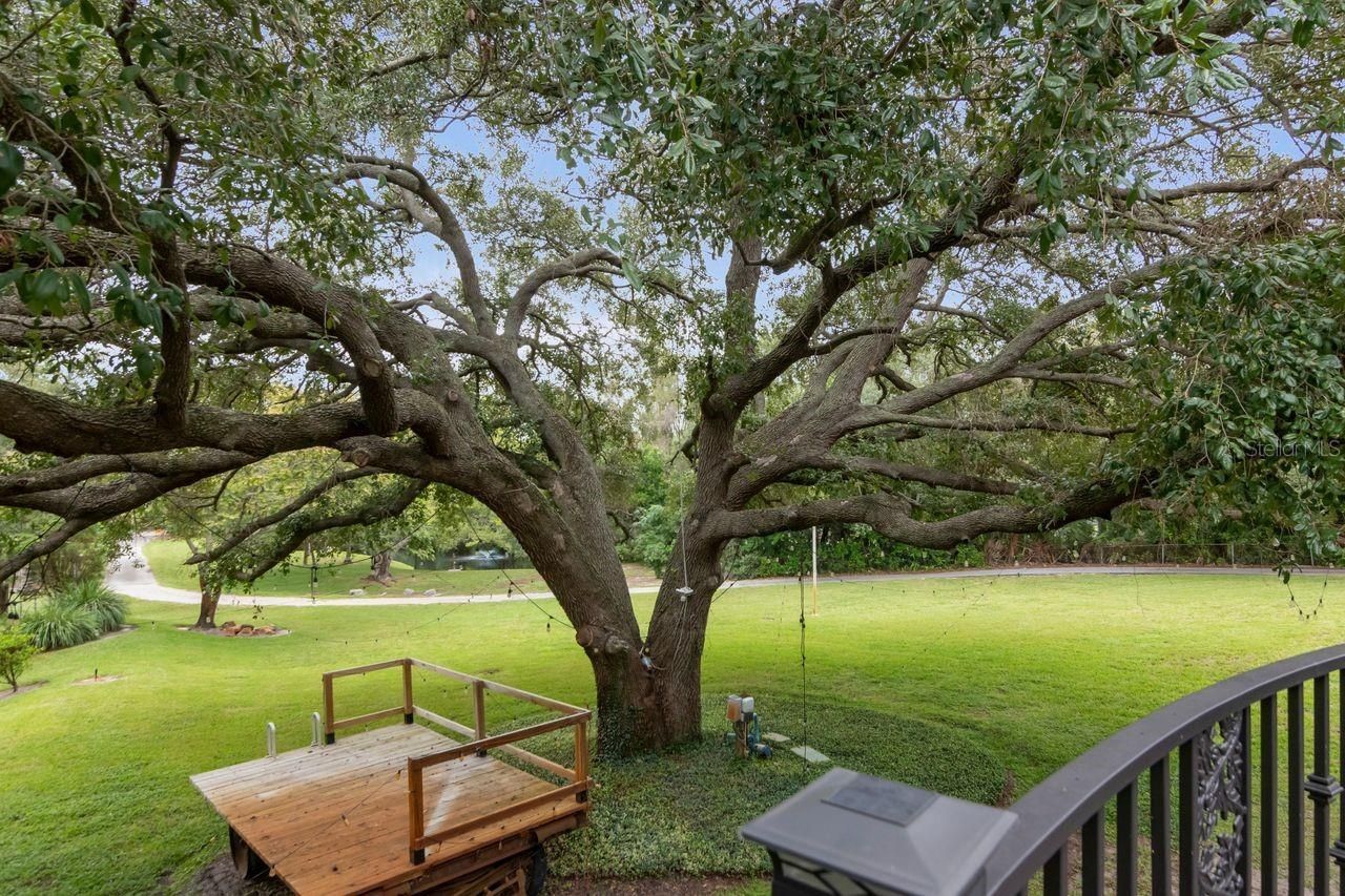 201 Old Oak Lane, Palm Harbor, FL 34683 Photo