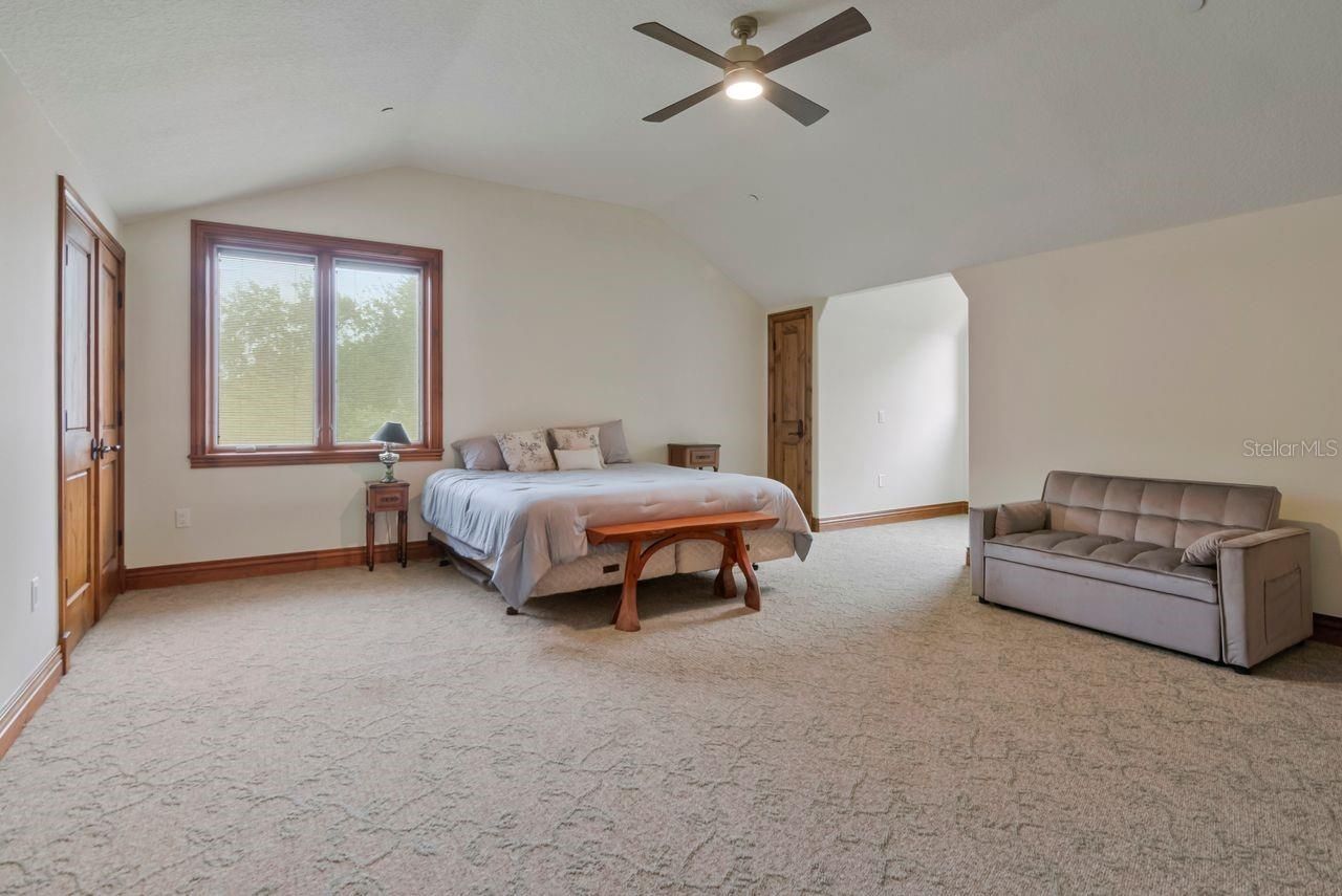 201 Old Oak Lane, Palm Harbor, FL 34683 Photo