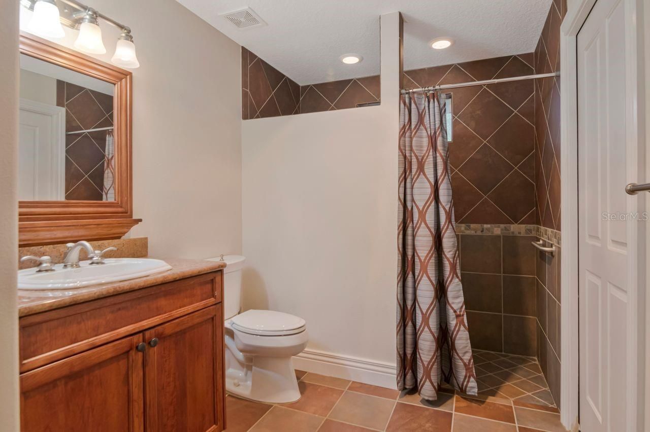201 Old Oak Lane, Palm Harbor, FL 34683 Photo