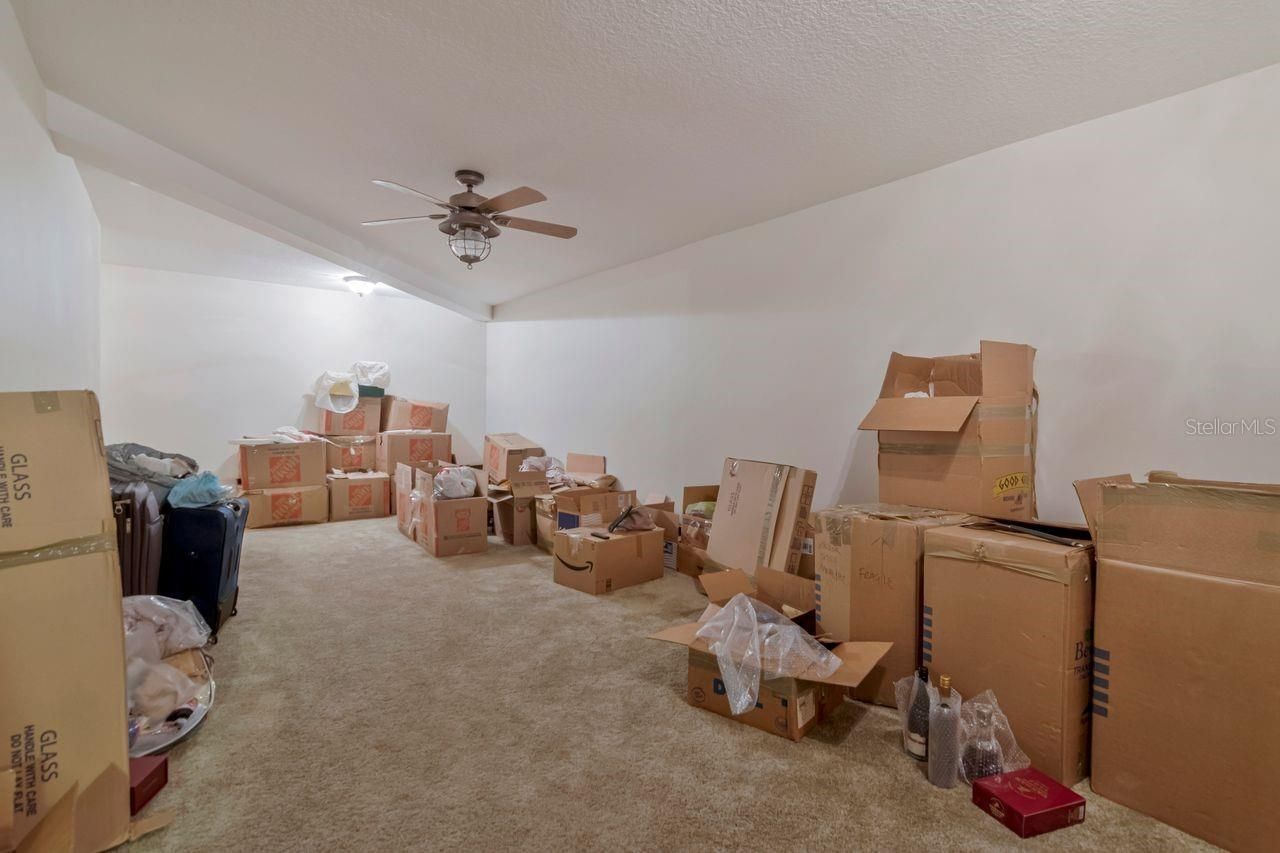 201 Old Oak Lane, Palm Harbor, FL 34683 Photo