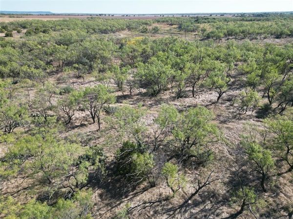 TBD TR2 County Rd 196, Ovalo, TX 79567