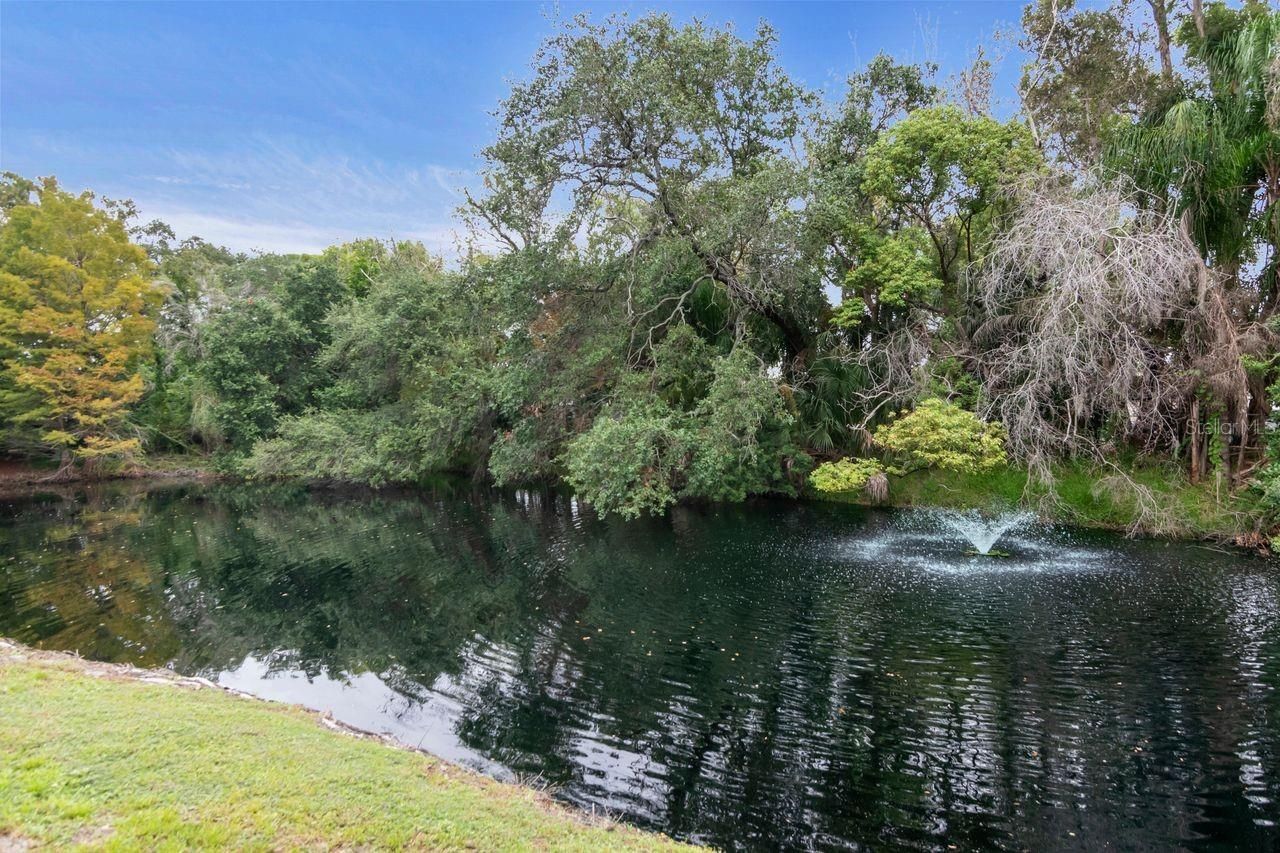 109 Old Oak Lane, Palm Harbor, FL 34683 Photo