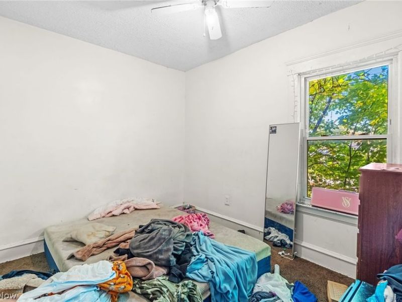 7915 Linwood Avenue, Cleveland, OH 44103 Photo 14