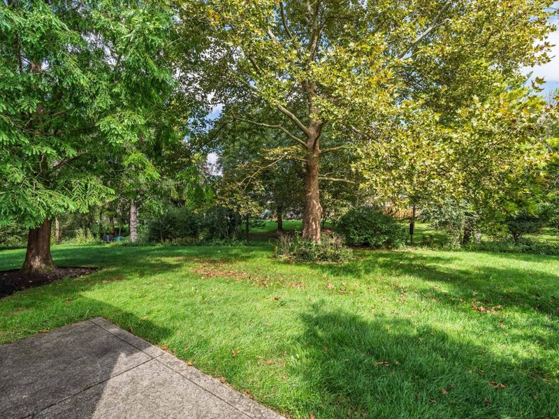 6297 Ottawa Place , Dublin, OH 43017 Photo 40