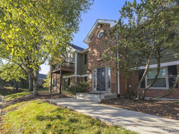 1344 Mc Dowell Road , Unit 203, Naperville, IL 60563