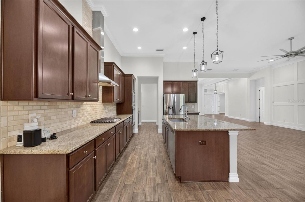 16726 Courtyard Loop , Land O Lakes, FL 34638 Photo