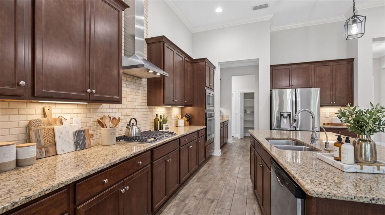 16726 Courtyard Loop , Land O Lakes, FL 34638 Photo