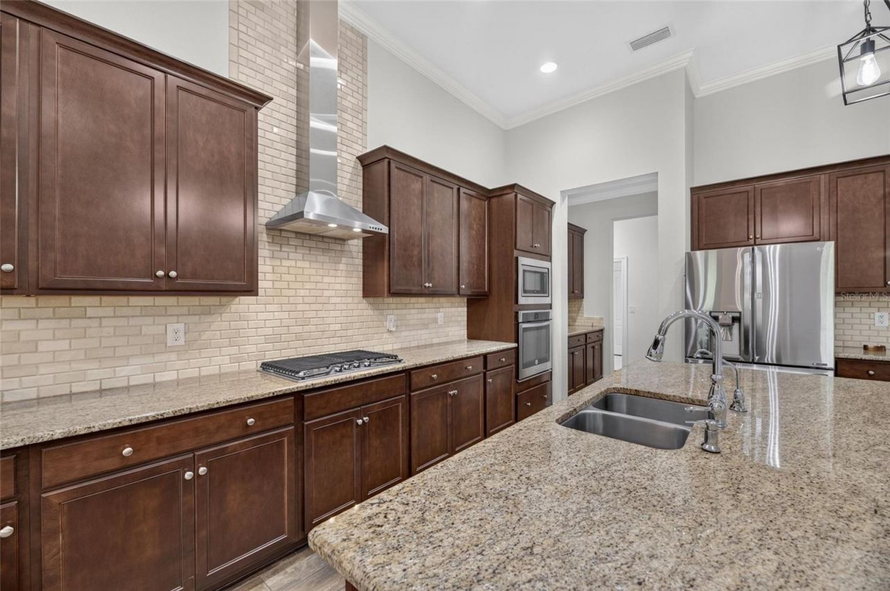 16726 Courtyard Loop , Land O Lakes, FL 34638 Photo