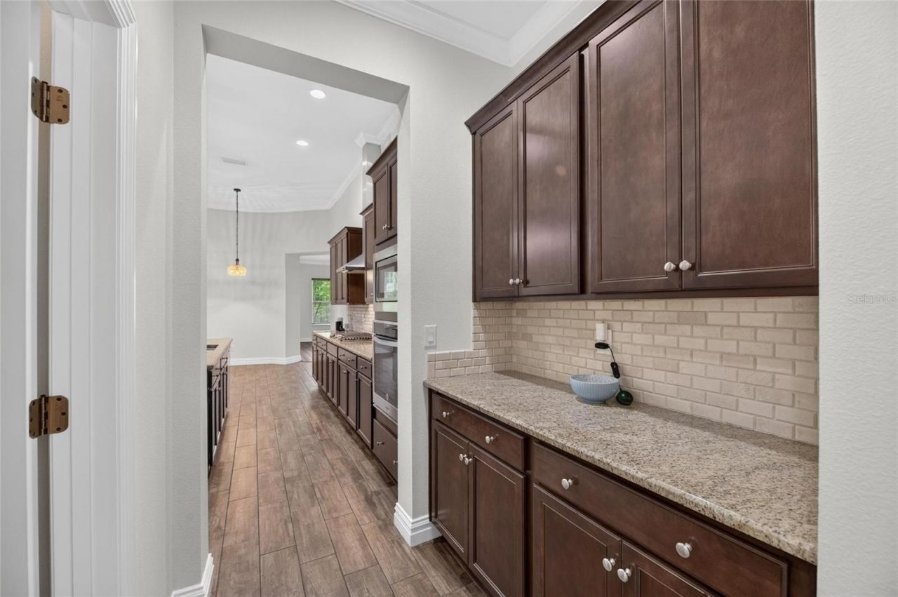 16726 Courtyard Loop , Land O Lakes, FL 34638 Photo
