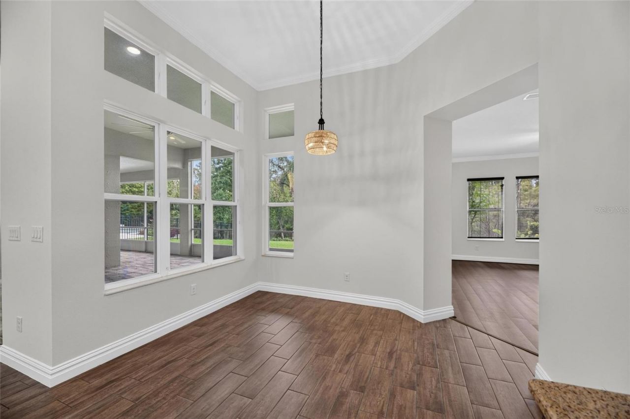 16726 Courtyard Loop , Land O Lakes, FL 34638 Photo