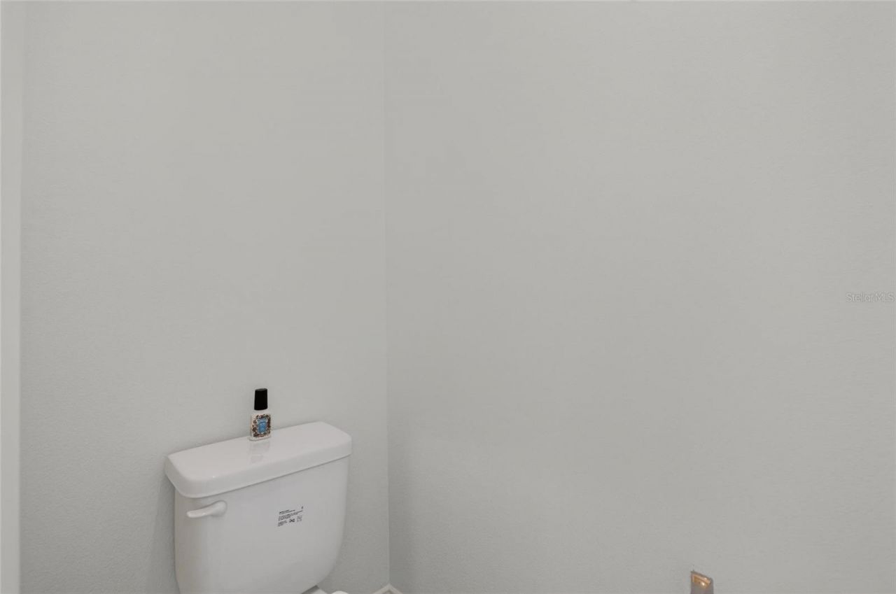16726 Courtyard Loop , Land O Lakes, FL 34638 Photo