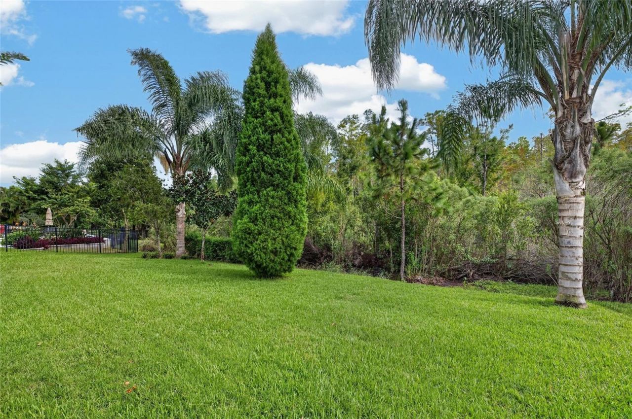 16726 Courtyard Loop , Land O Lakes, FL 34638 Photo