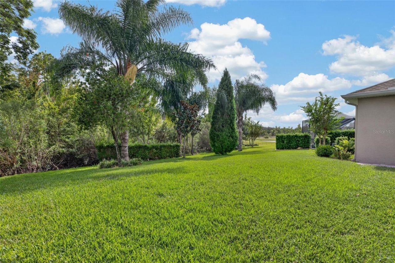 16726 Courtyard Loop , Land O Lakes, FL 34638 Photo