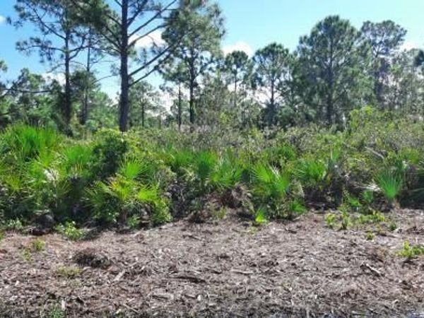 12038 IRIS STREET , PUNTA GORDA, FL 33955