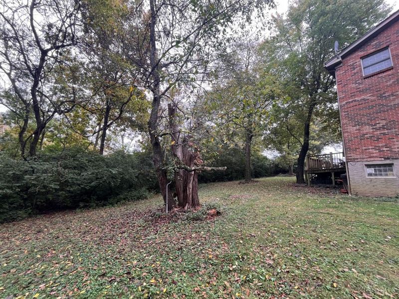 5612 Little Flower Avenue, Cincinnati, OH 45239 Photo 30