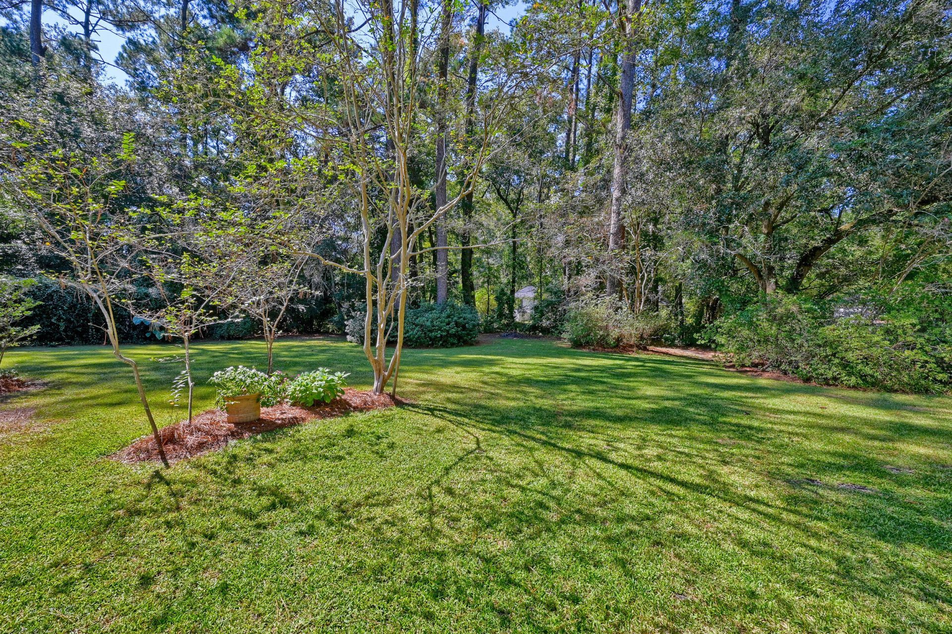 106 Bobwhite Lane Photo 46