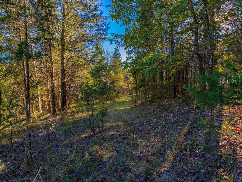 0 Bentonville Road, West Union, OH 45693 Photo 17