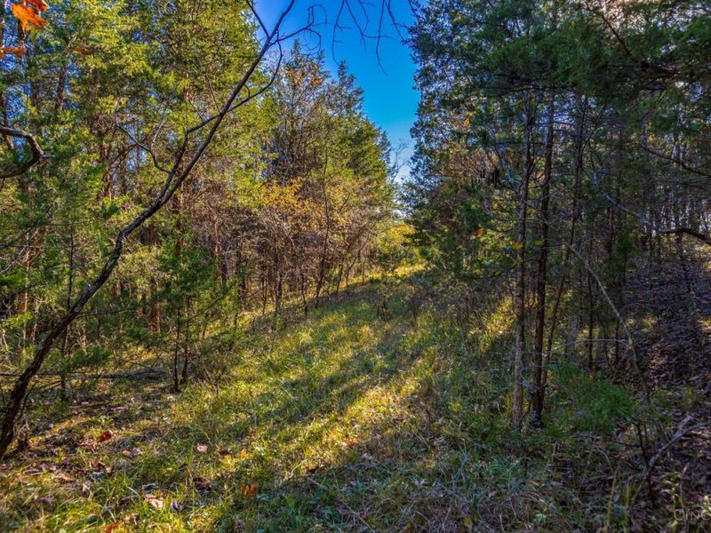 0 Bentonville Road, West Union, OH 45693 Photo 18