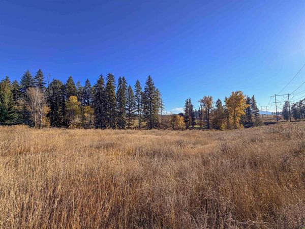 2082 Whitetail Way, Colville, WA 99114
